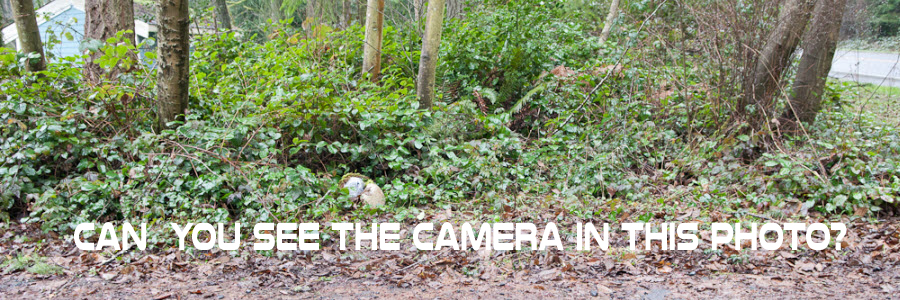 Hidden camera outdoors